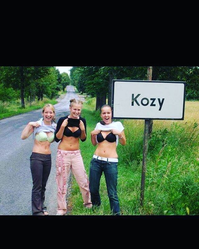 kozy-2i-cz