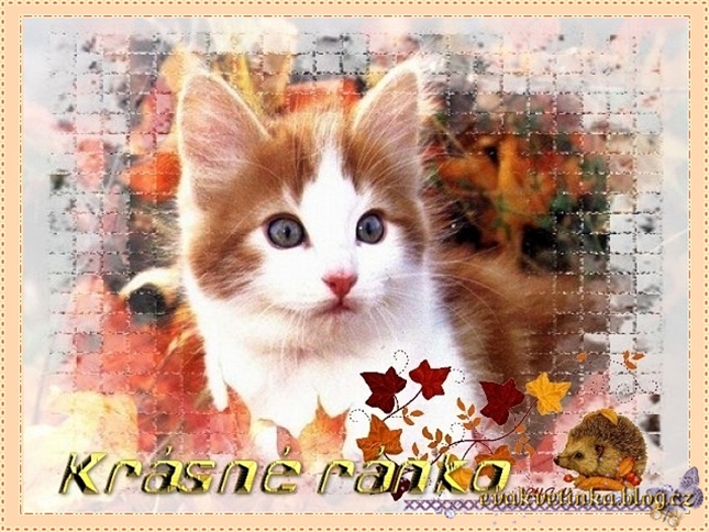 KRASNE-RANO-49928.jpg