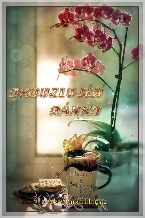 OKOUZLUJICI-RANKO-50239.jpg