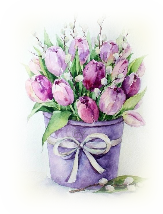 tulipany-lila.png