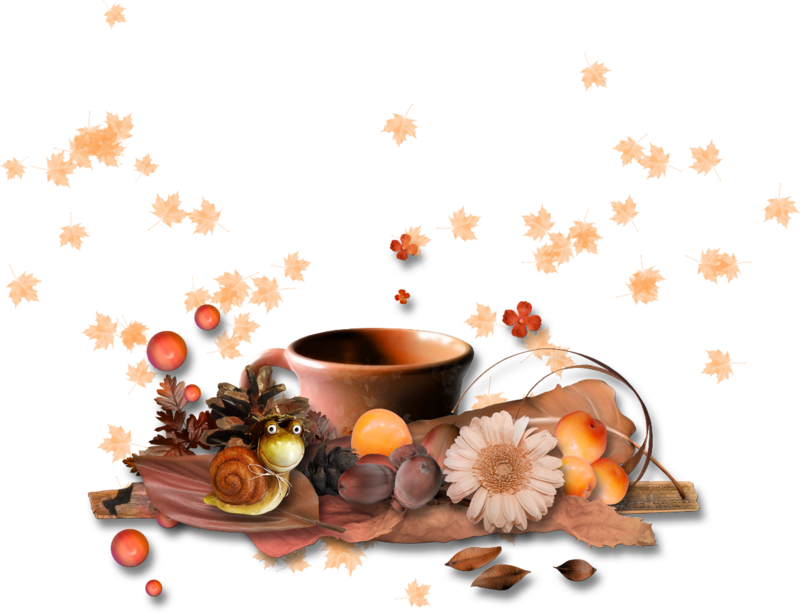 8eed9c892b_105199868_o2.png