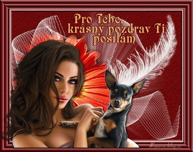 PRO-TEBEKRASNY-POZDRAV-TI-POSILAM-suneva.gif