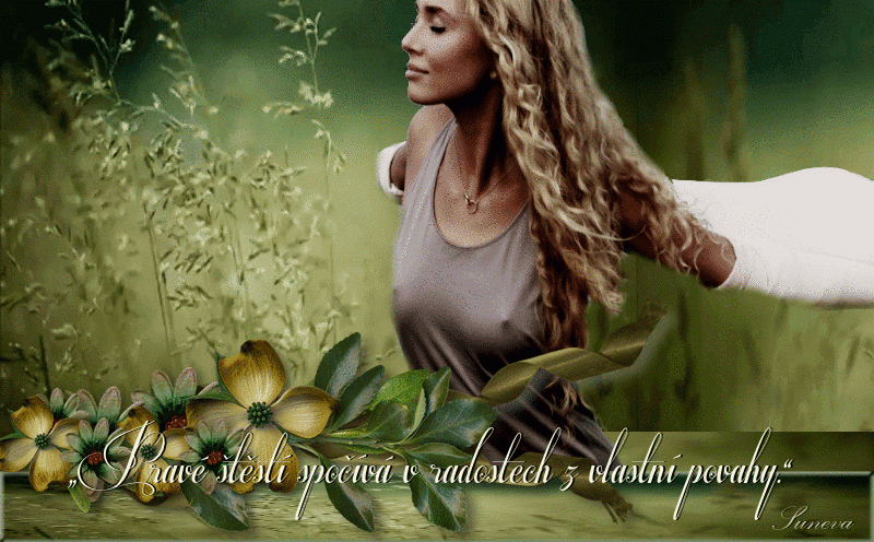 citaty-o-povaze-01.gif