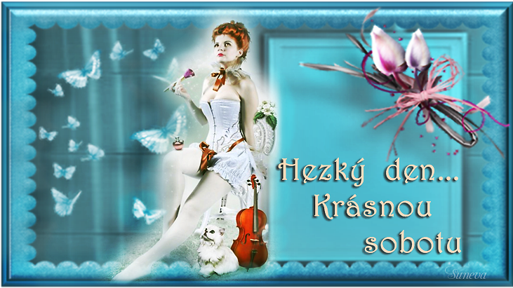 231a836155_104868057_o2.png