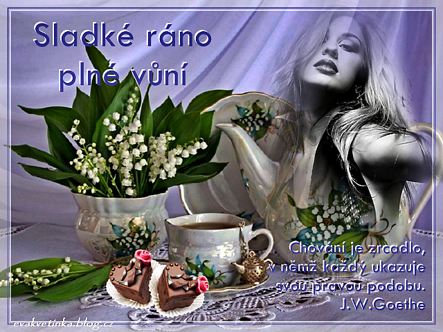 b05132d0fc_105835646_o2.png