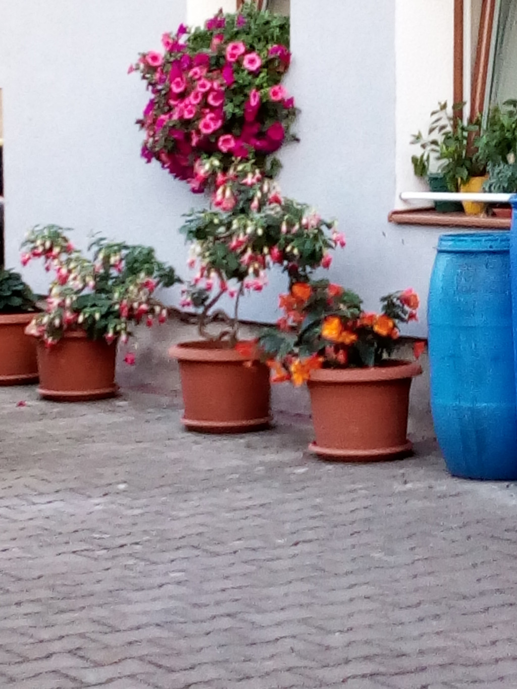 IMG_20200723_205635.jpg