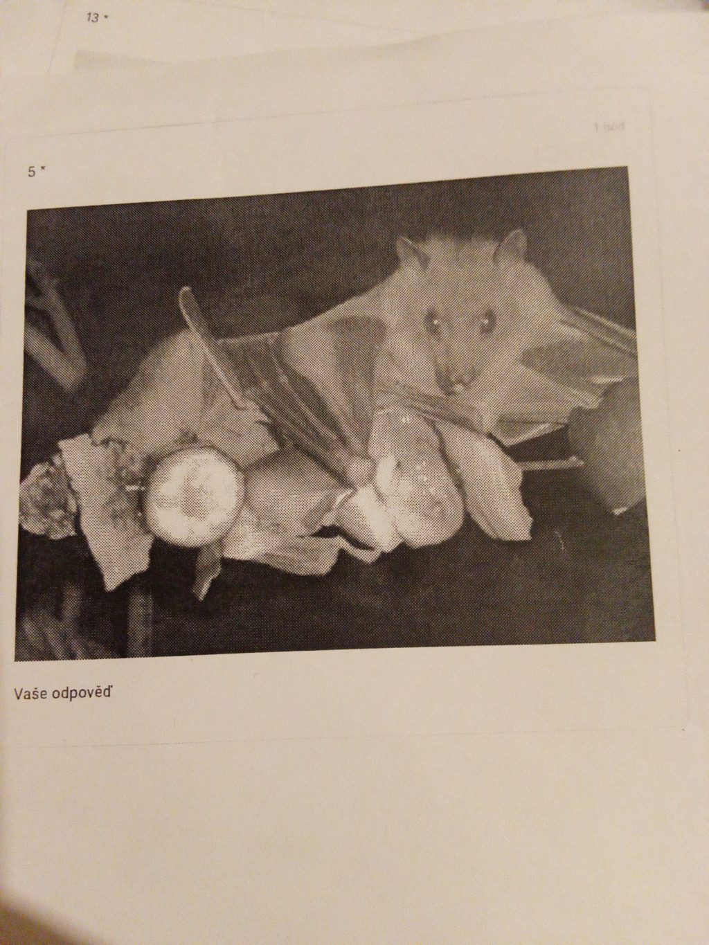 Image 20201208 201041