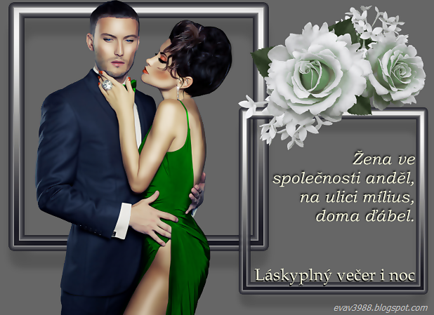 LASKYPLNY-VECER-I-NOC.png