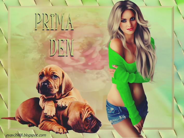 PRIMA-DEN.jpg