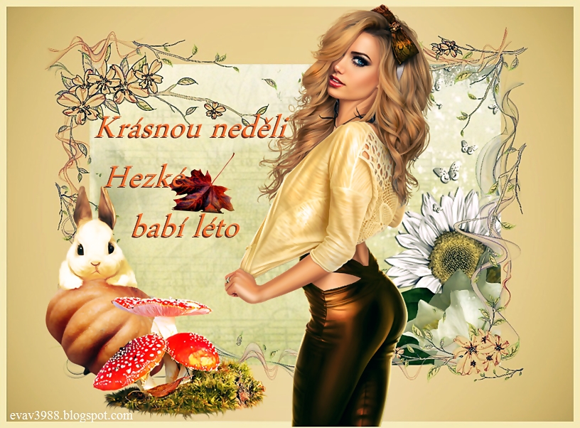 KRASNOU-NEDELIHEZKE-BABI-LETO.jpg