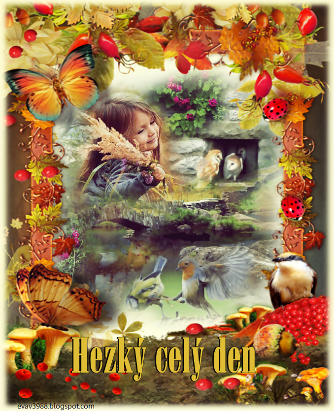HEZKY-CELY-DEN.png