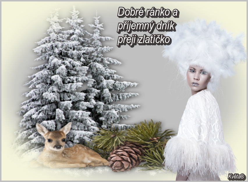 oie_uMVGGAEOjZPy.png
