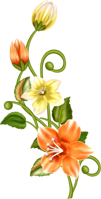 it1mjrplb06.png