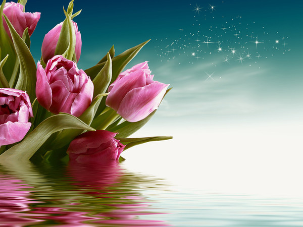017f507d.png
