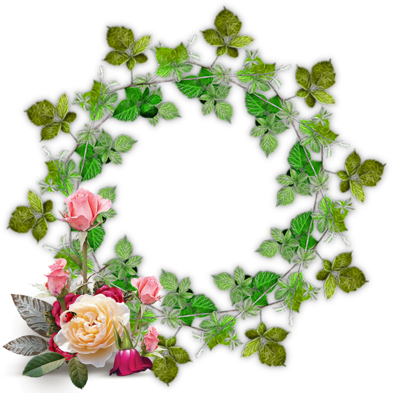 unpKSPgsShMC2daG3WAxQS4Lz5Y.png