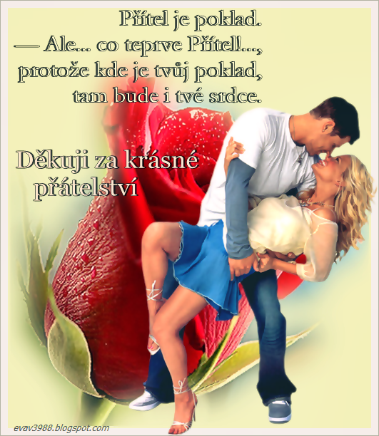 DEKUJI-ZA-KRASNE-PRATELSTVI.png