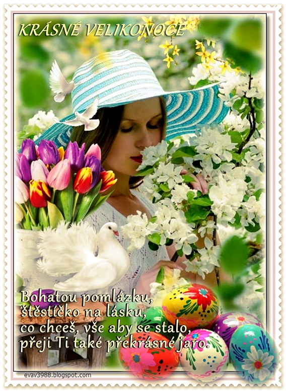 my_photo_flower-2168-KRASNE-VELIKONOCE.jpg
