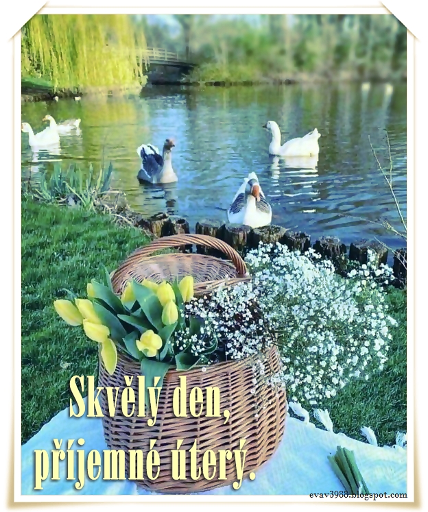 SKVELY-DENPRIJEMNE-UTERY.jpg