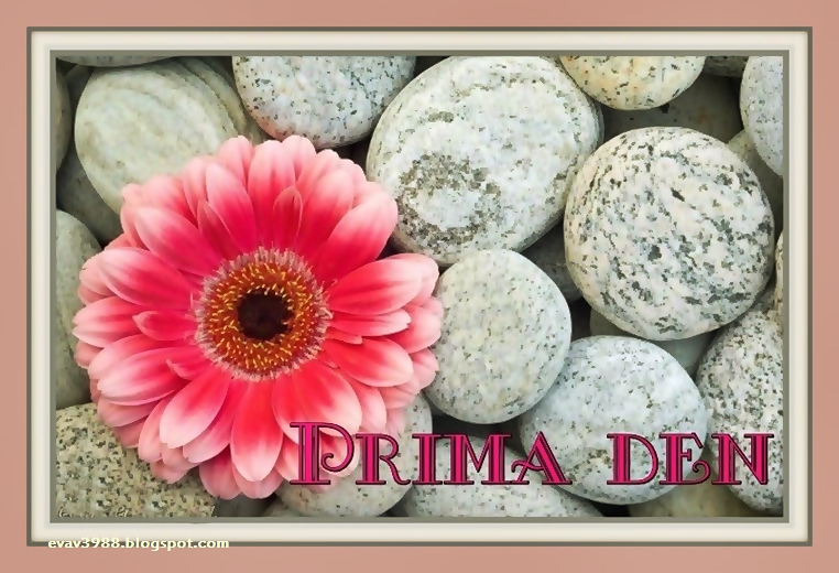 PRIMA-DEN.jpg