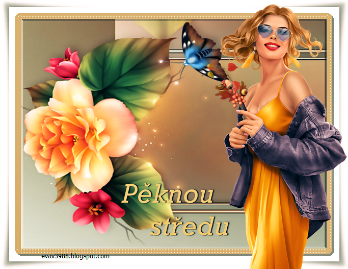 PEKNOU-STREDU.png