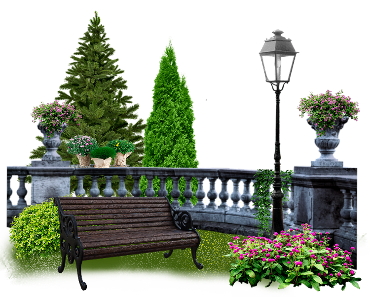 photostudio_1654536923497a.png