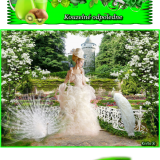 oie_o35Heb7SL18p