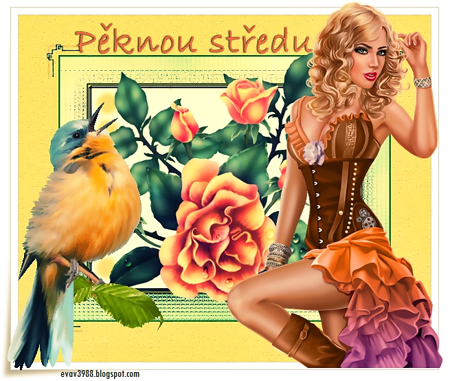 PEKNOU-STREDU.jpg