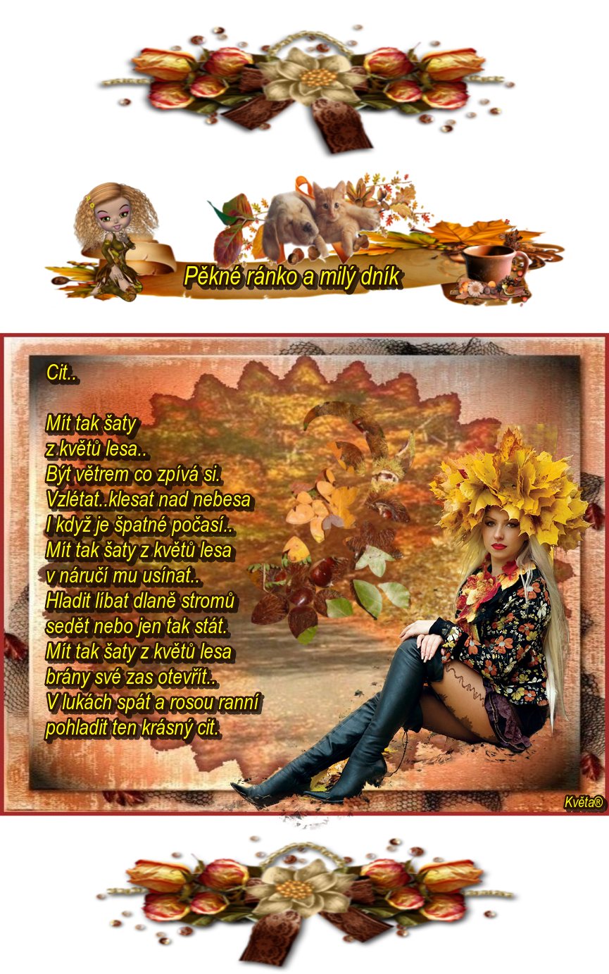 oie_uOVfbp46KhHr.png
