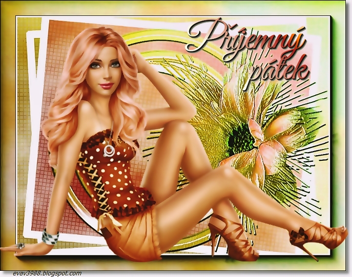 PRIJEMNY-PATEK.jpg