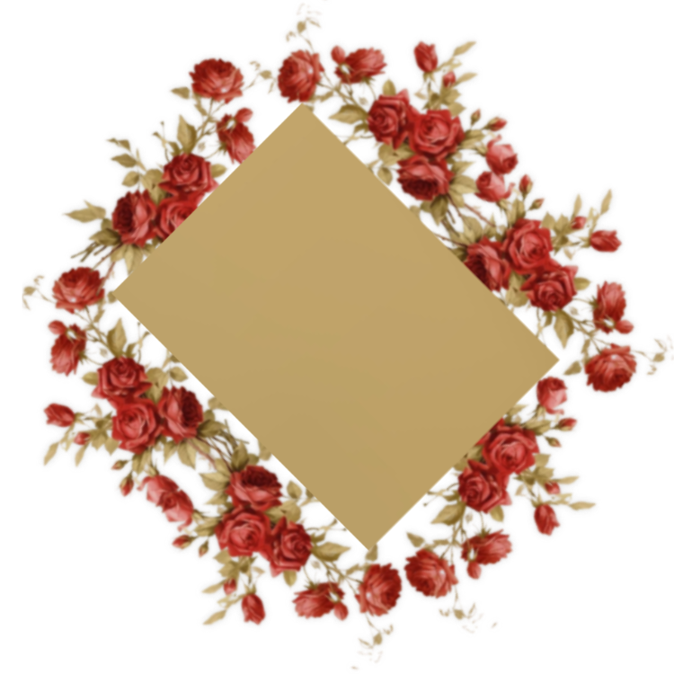 p95xa1te05g.png