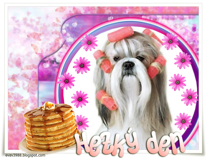 HEZKY-DEN.png