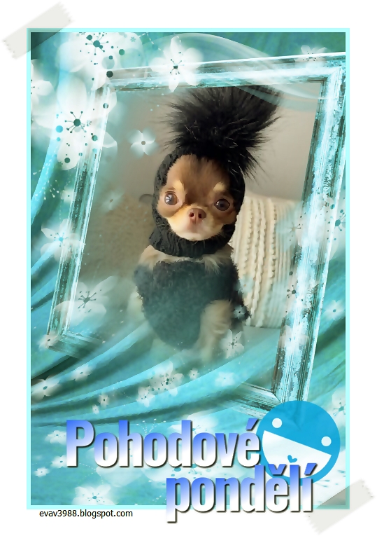 POHODOVE-PONDELI.jpg
