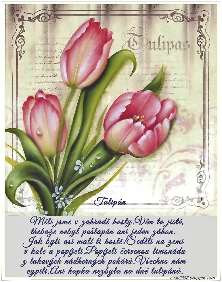 TULIPAN.jpg