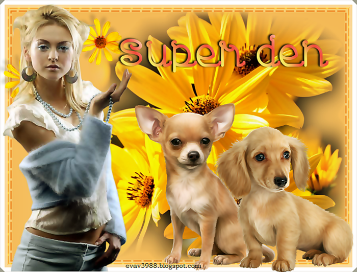 SUPER-DEN.png