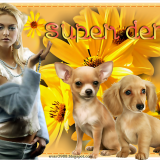 SUPER-DEN