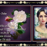 PRO-TEBE