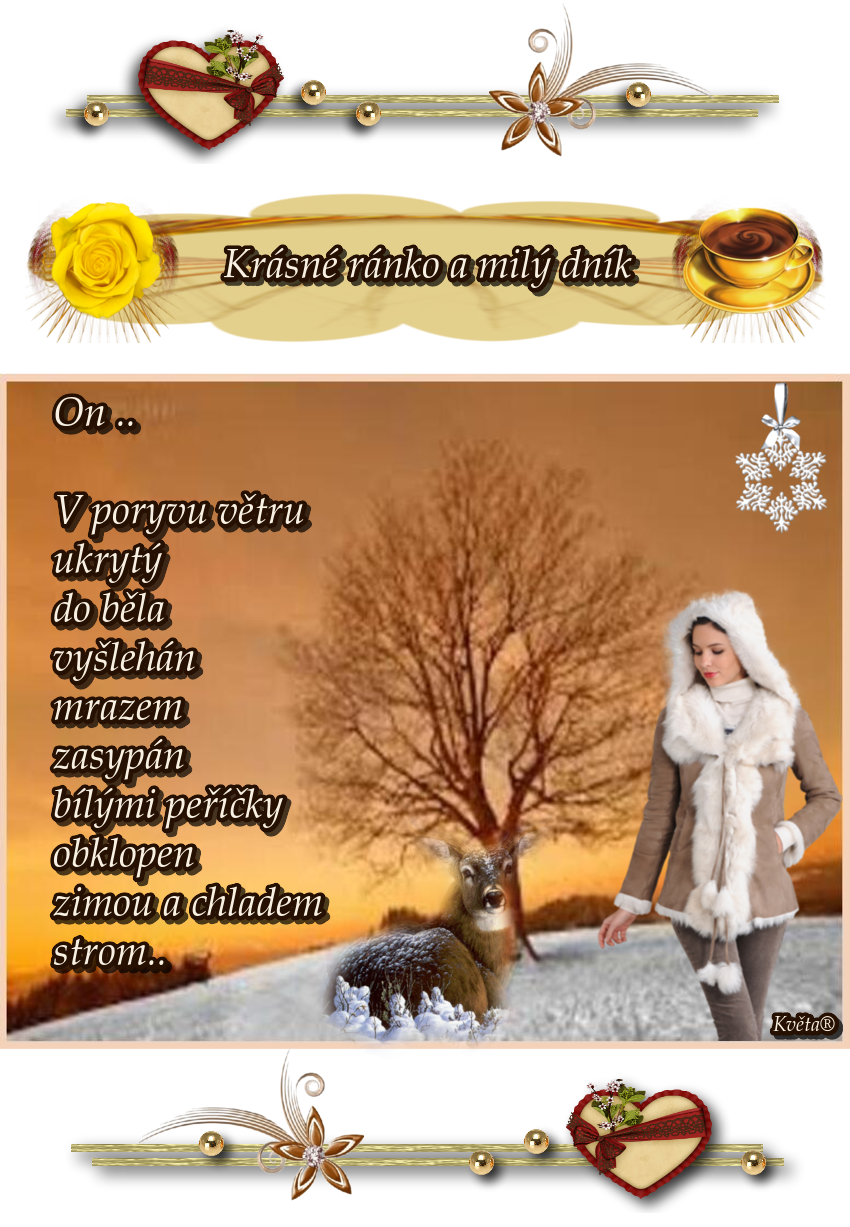 oie_YnSirvWny8cN.png