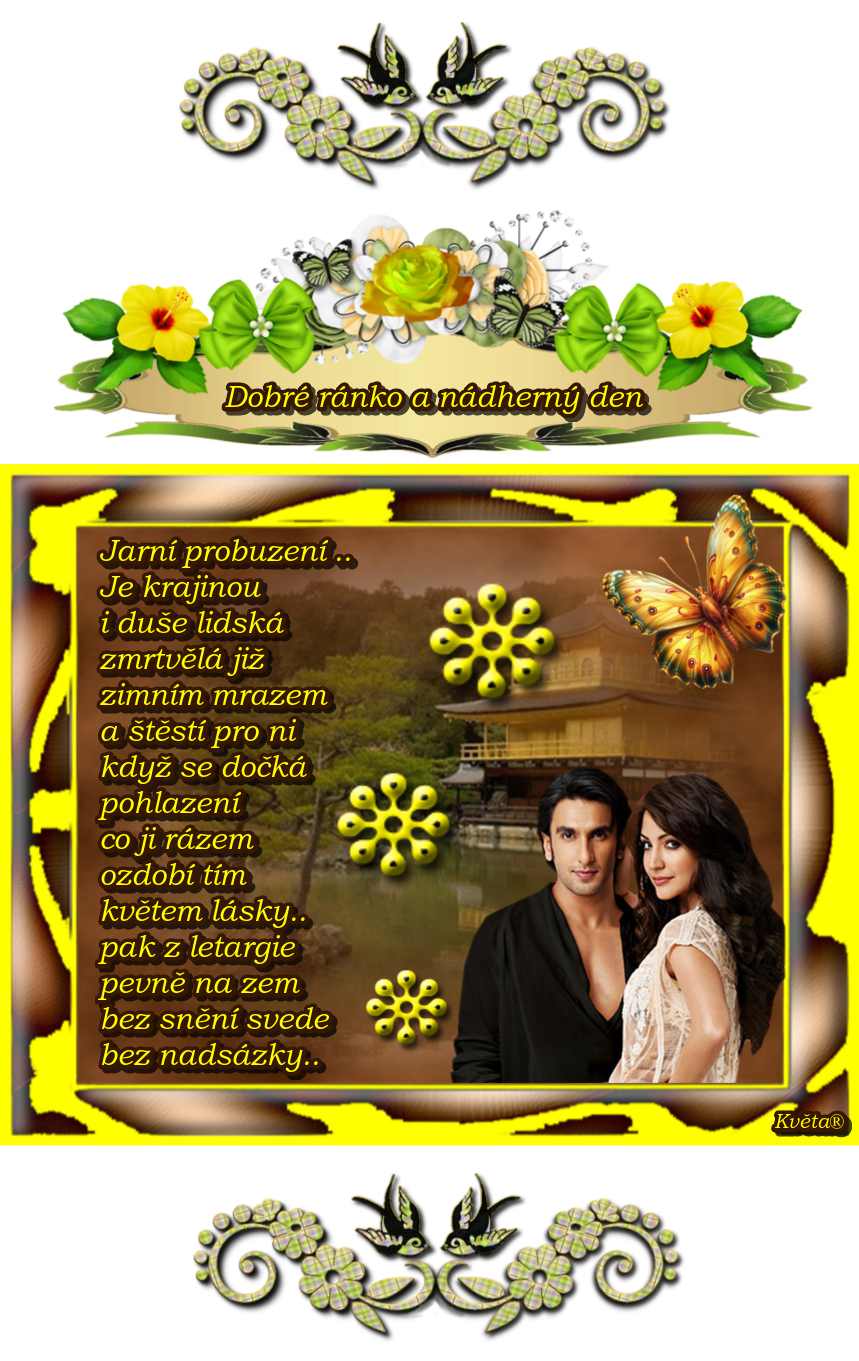 oie_5wYIXgSE9XYV.png