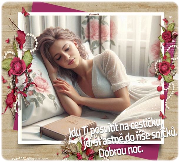 DOBROU-NOC.jpg