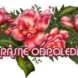 krasne-odpoledne