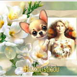 HEZKOU-STREDU