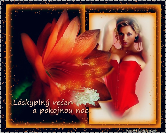 LASKYPLNY-VECER-A-POKOJNOU-NOC.jpg