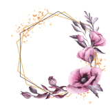 flower-4788600_1280