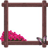 wood-1444580_640