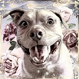 sketch_master_1757093090173