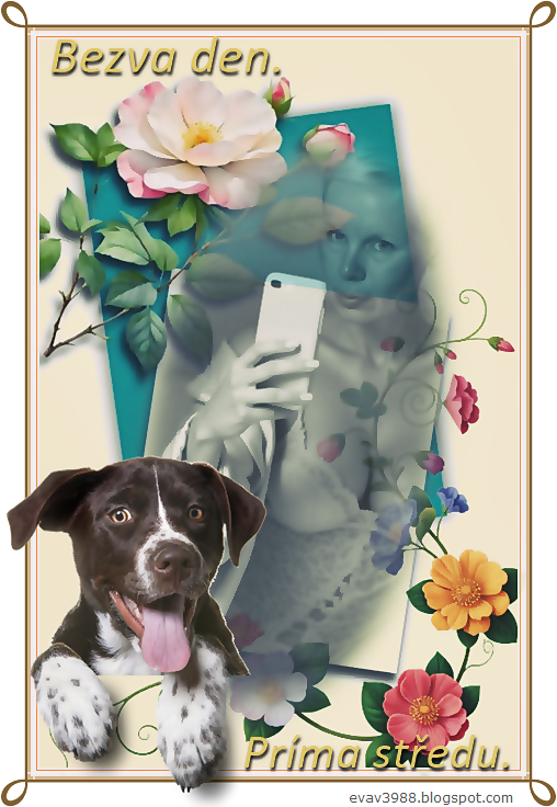 BEZVA-DEN.PRIMA-STREDU.png
