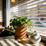 image_2026_01_23_2214062