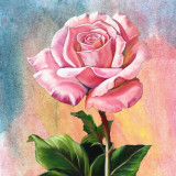 color-flow-share1770152450854