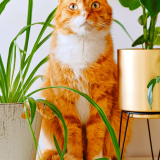 2023_09_08_19_02_47_0209