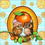 image_2025_10_08_145335